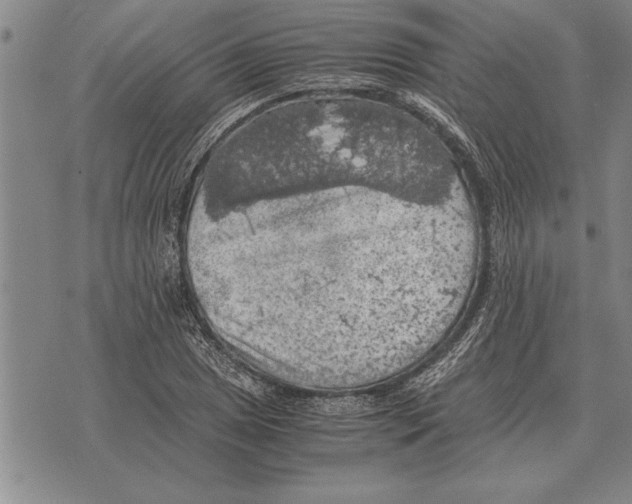 X0000075871025200610151655