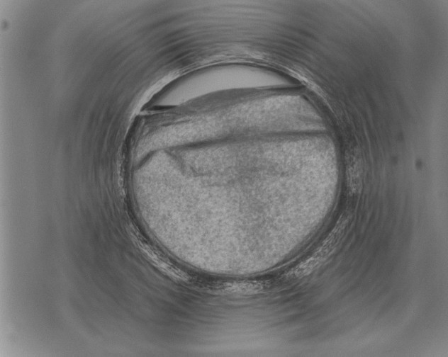 X0000075871026200610151655