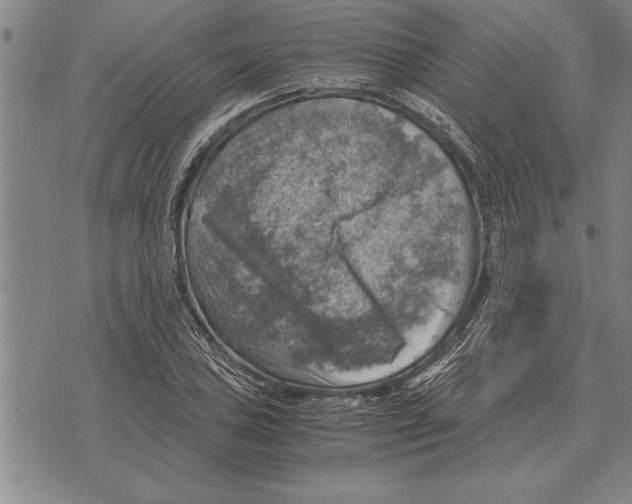 X0000075871027200610151655