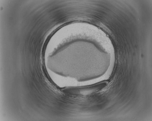 X0000075871028200610151655