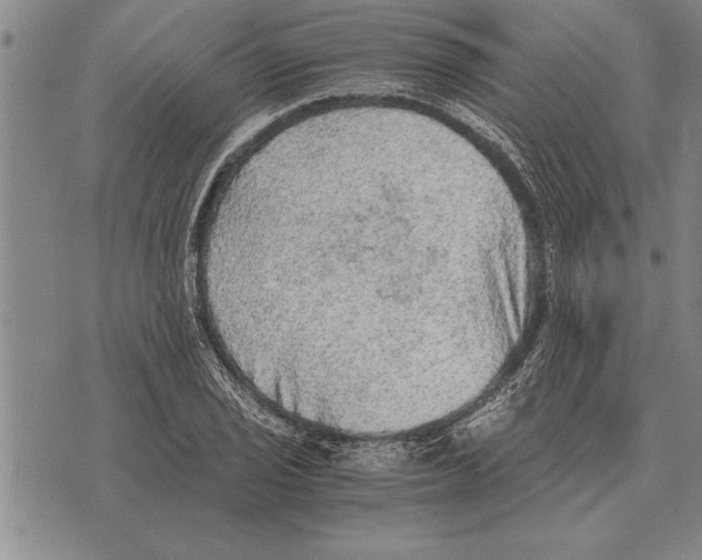 X0000075871029200610151655