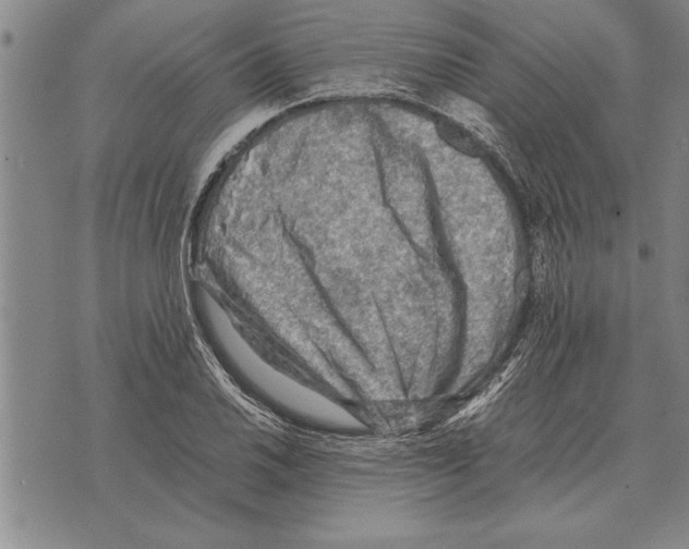 X0000075871030200610151655