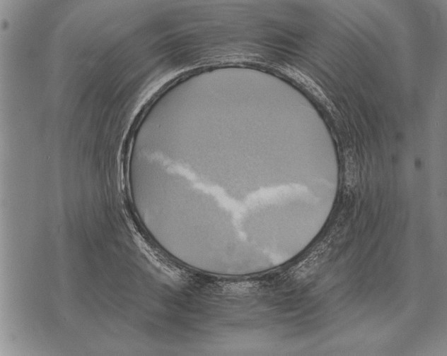 X0000075871031200610151655