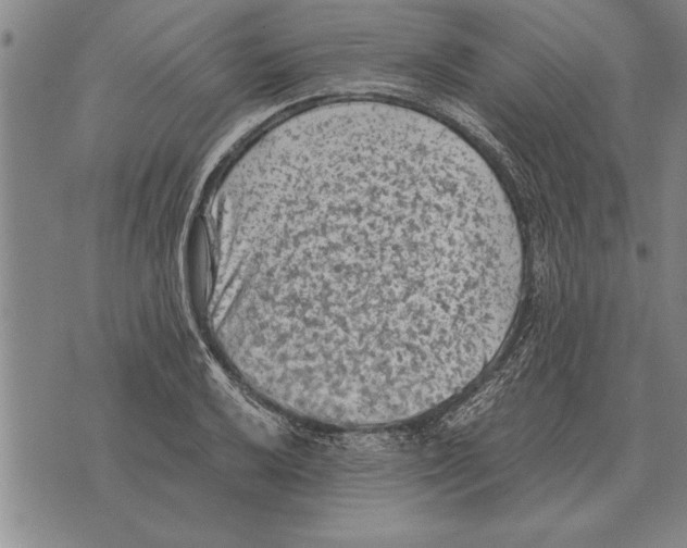 X0000075871032200610151655