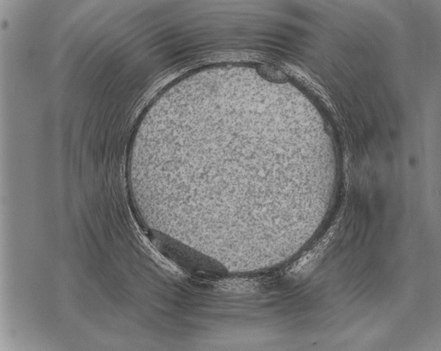 X0000075871033200610151655