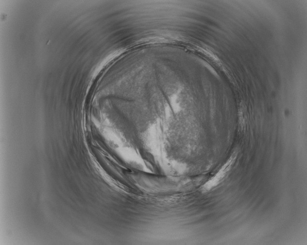 X0000075871034200610151655