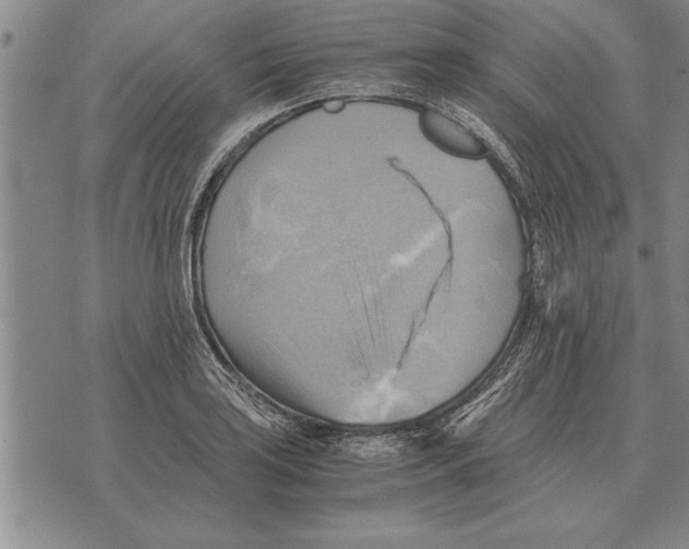 X0000075871035200610151655