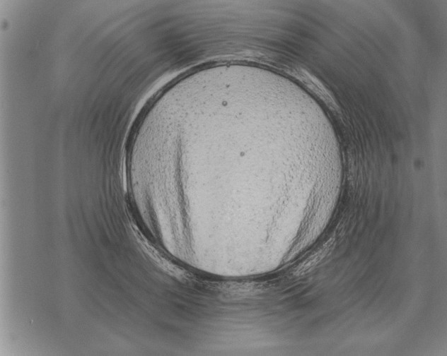 X0000075871036200610151655