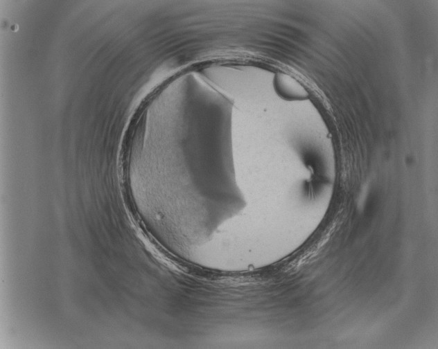 X0000075871037200610151655