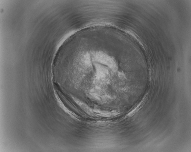 X0000075871038200610151655