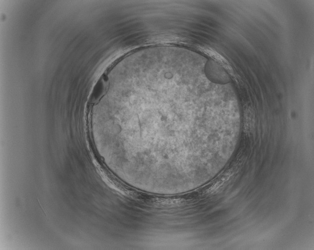 X0000075871039200610151655