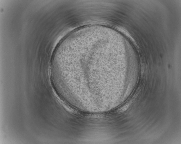 X0000075871040200610151655