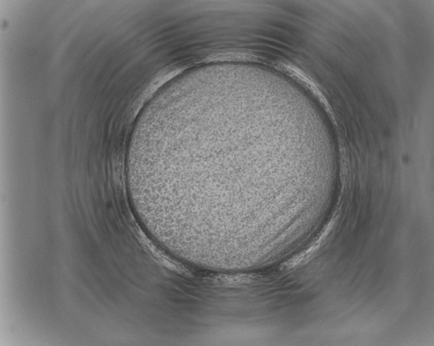 X0000075871041200610151655