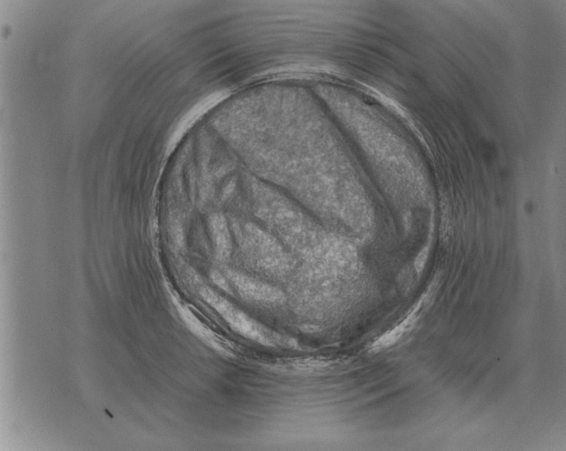 X0000075871042200610151655