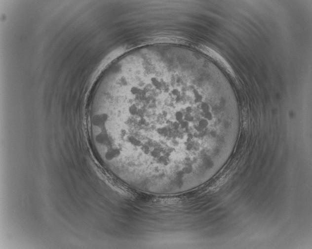 X0000075871043200610151655