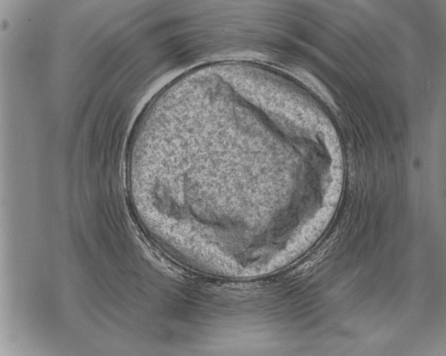 X0000075871044200610151655