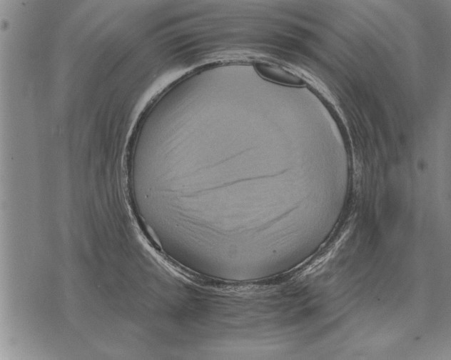 X0000075871045200610151655