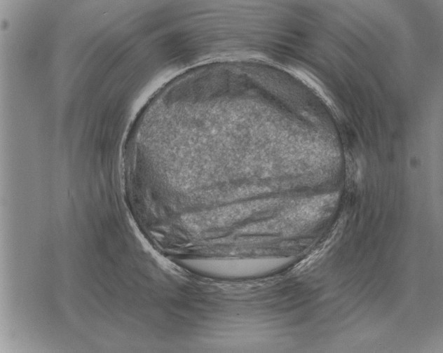 X0000075871046200610151655