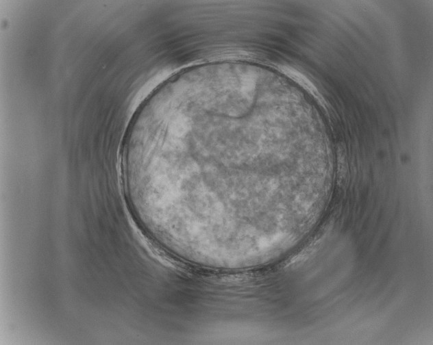 X0000075871047200610151655