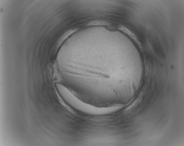 X0000075871049200610151655