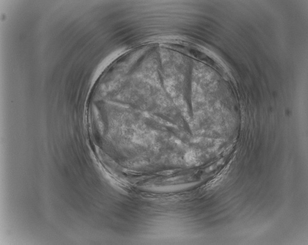 X0000075871050200610151655