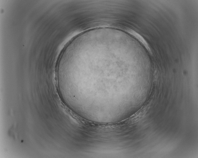 X0000075871051200610151655