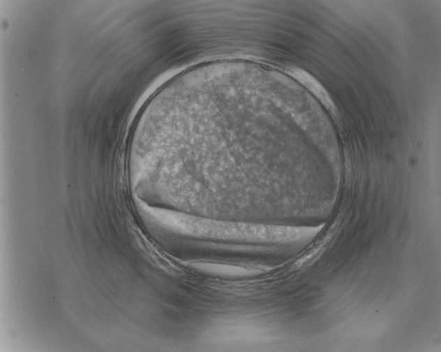 X0000075871052200610151656