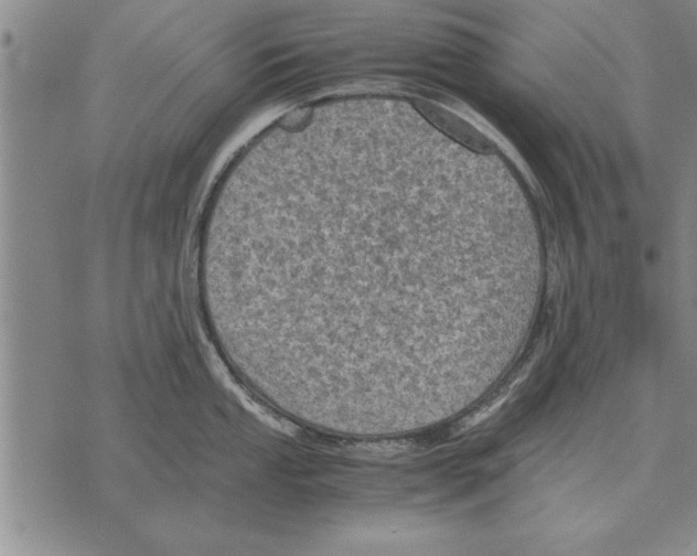 X0000075871053200610151656