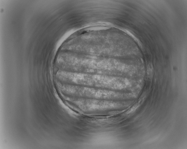 X0000075871054200610151656