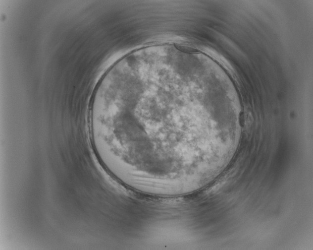 X0000075871055200610151656