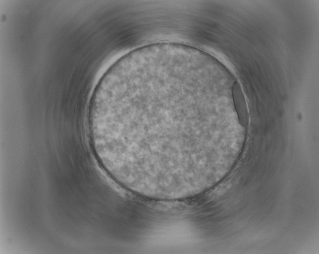 X0000075871056200610151656