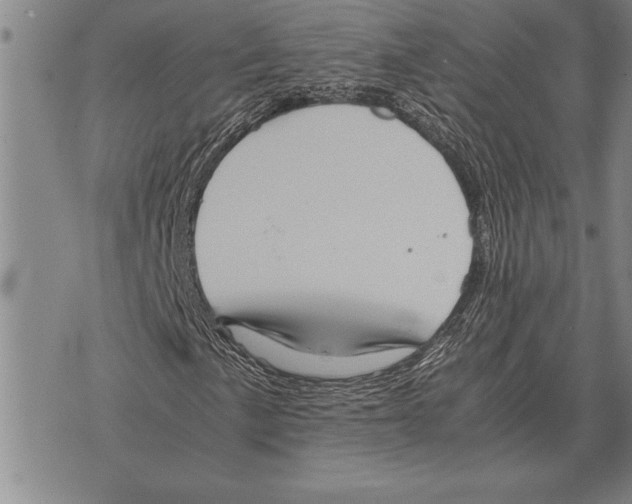 X0000075871057200610151655