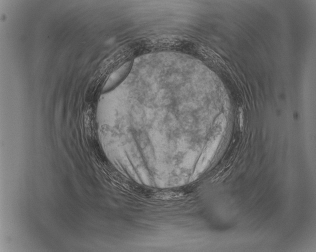 X0000075871059200610151655