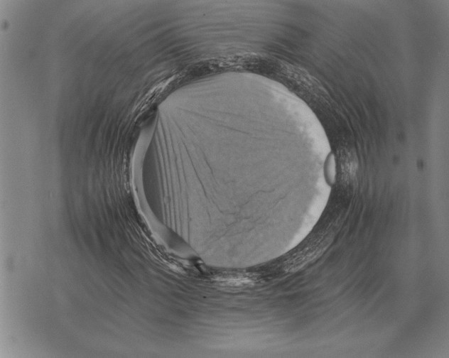 X0000075871060200610151655