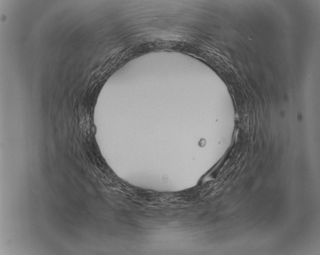 X0000075871061200610151655