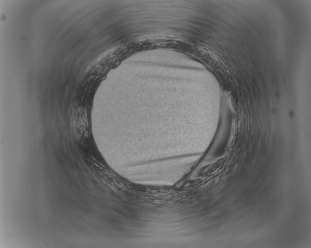 X0000075871062200610151655