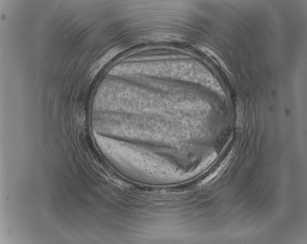 X0000075871065200610151655