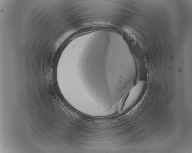 X0000075871066200610151655