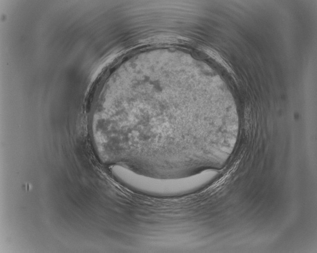 X0000075871067200610151655