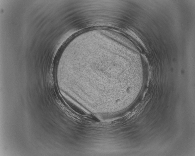 X0000075871068200610151655