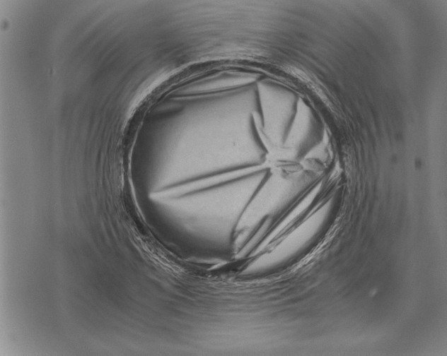 X0000075871069200610151654