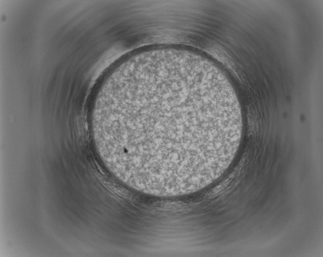 X0000075871070200610151654