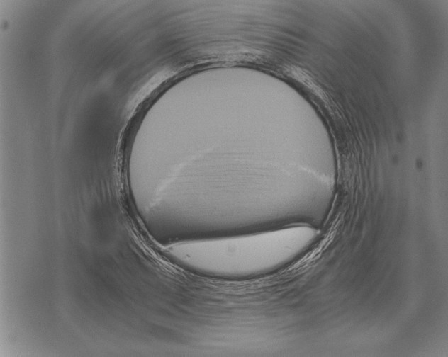 X0000075871071200610151654