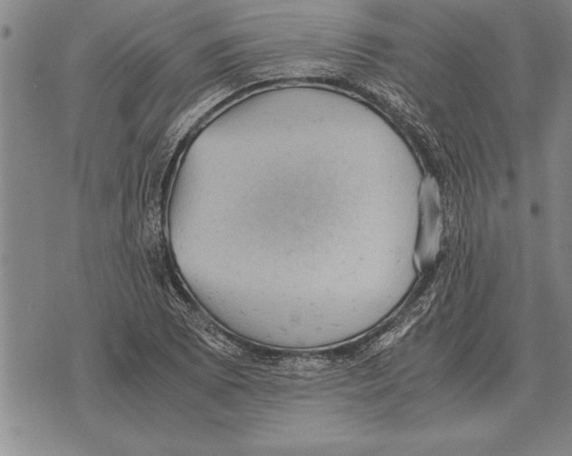 X0000075871073200610151654