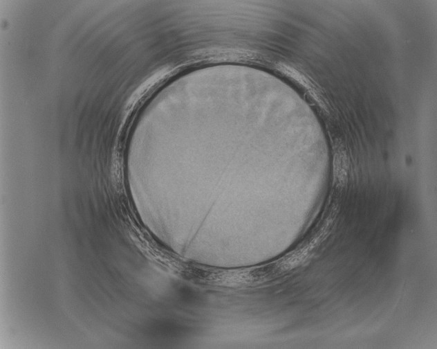 X0000075871074200610151654