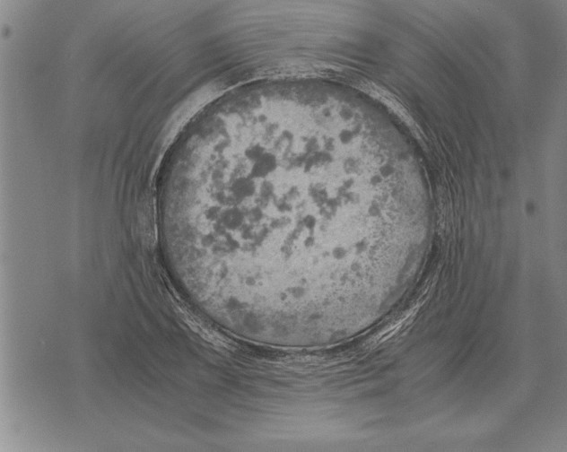 X0000075871075200610151654