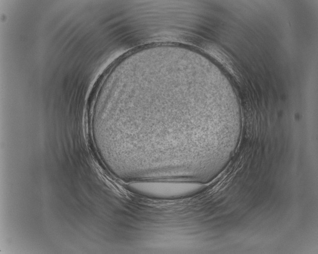 X0000075871076200610151654