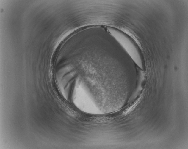 X0000075871077200610151654