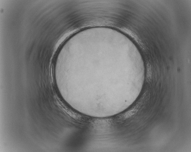 X0000075871078200610151654