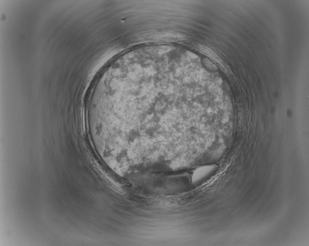 X0000075871079200610151654